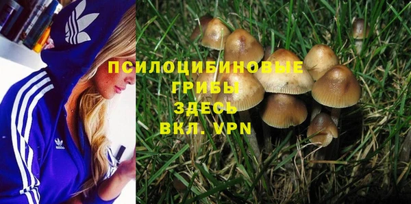 мескалин Заводоуковск