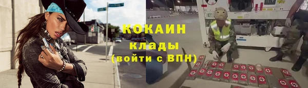 мескалин Заводоуковск