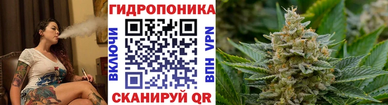 Бошки Шишки семена Ковылкино